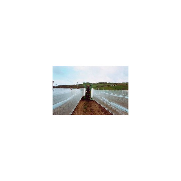 copy of 